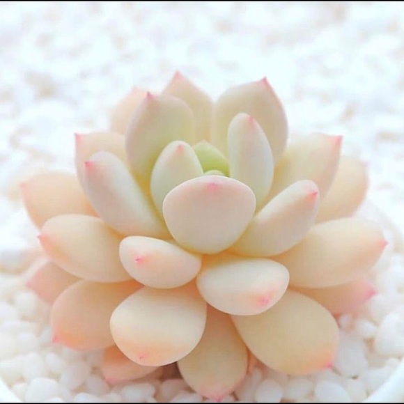 Meet your Posher, Robyn - Picture 6 of 8